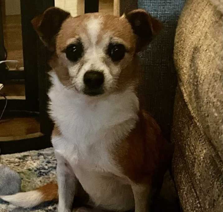 Photo of Bella