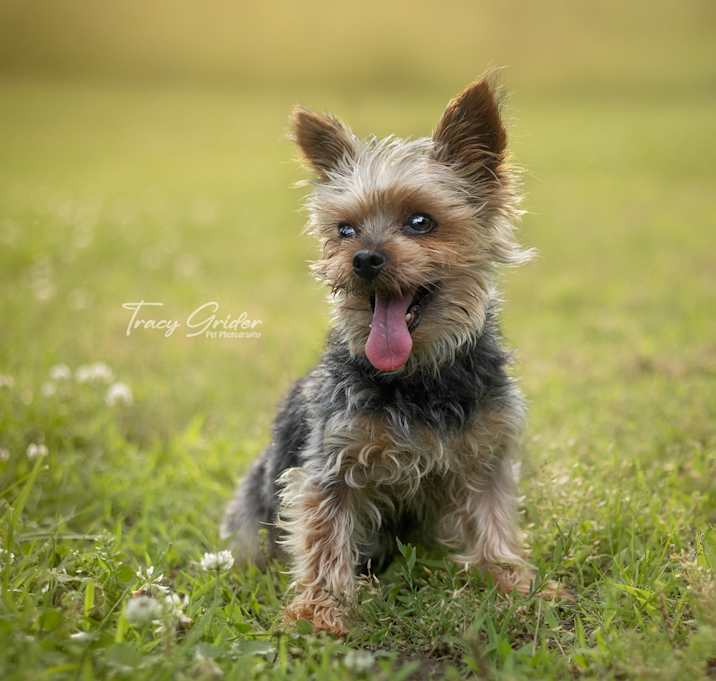 Photo of Zeus