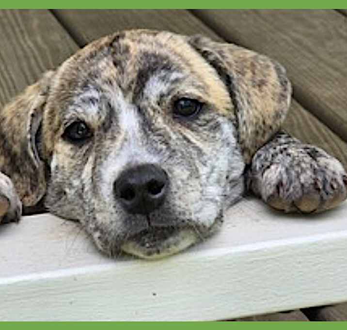 Photo of Stryker