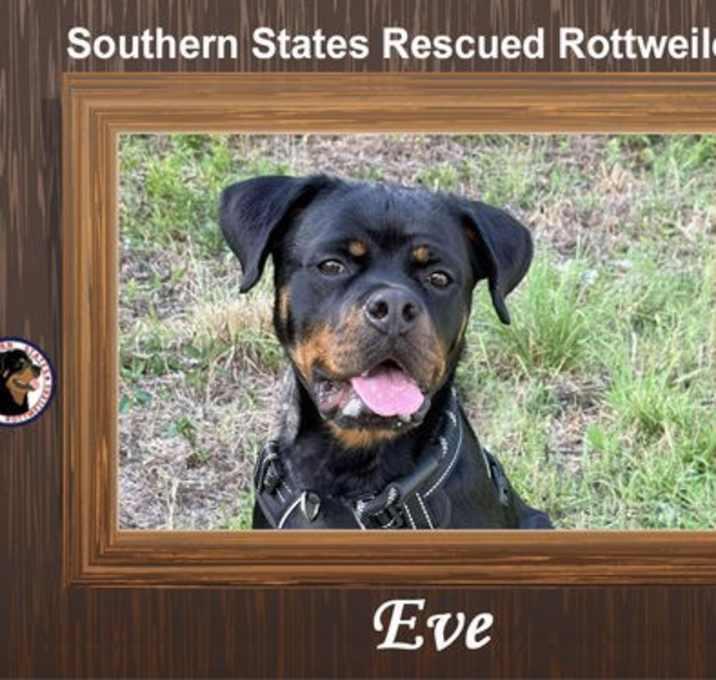 Photo of Eve