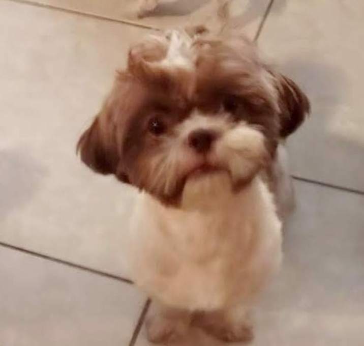 Photo of Charlie