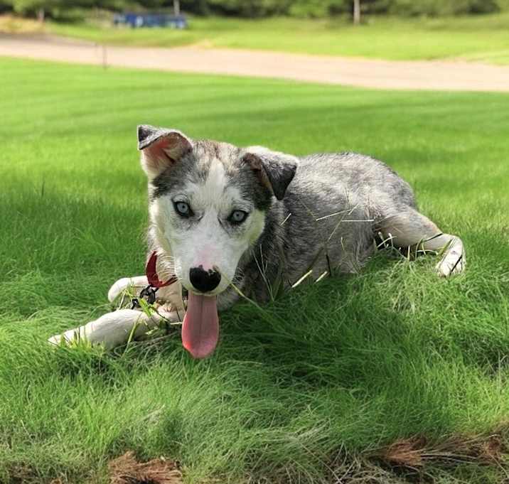 Photo of Oliver