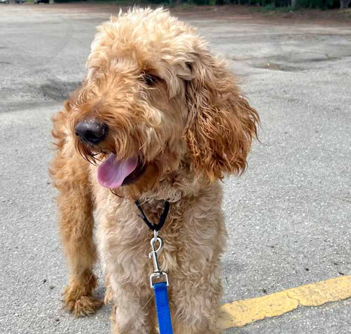 Photo of Fonzie