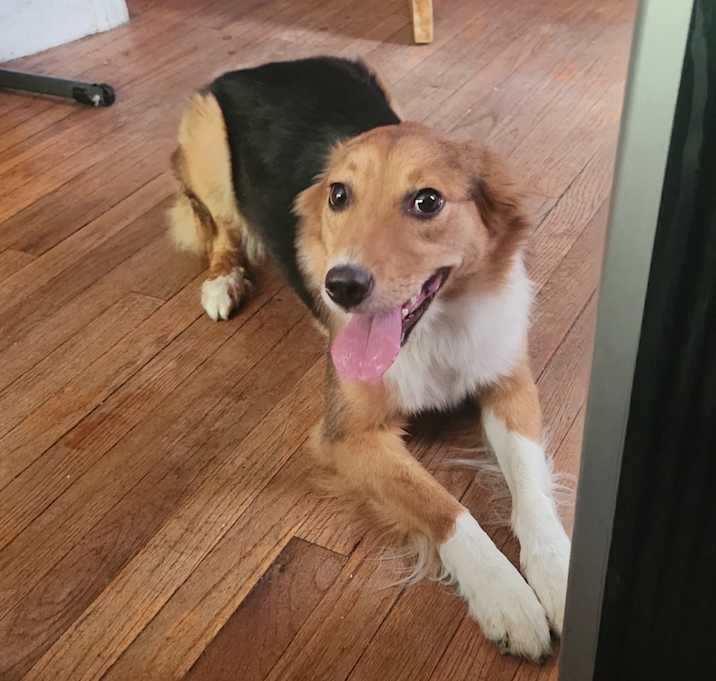 Photo of Skye