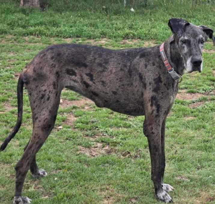 Photo of Minnie Dane
