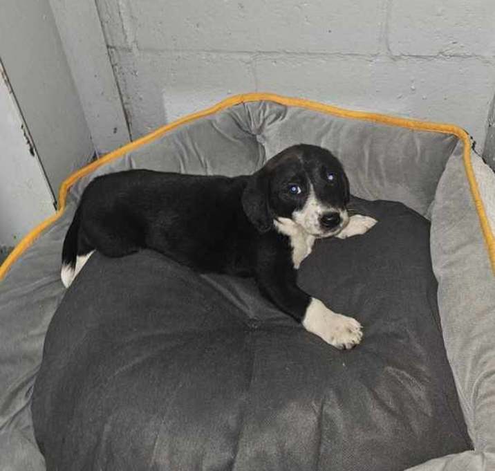 Photo of Gloria