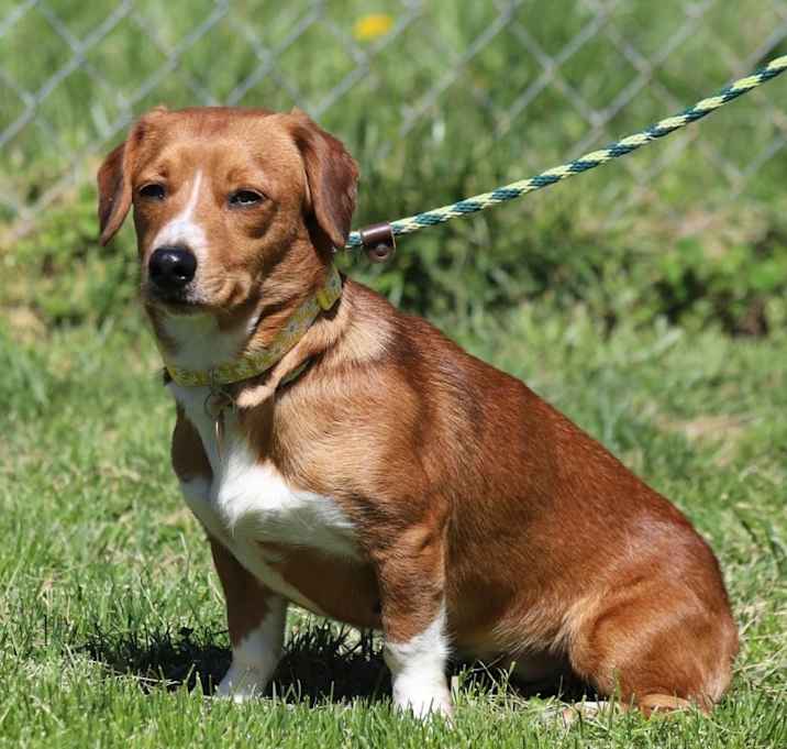 Photo of Genny