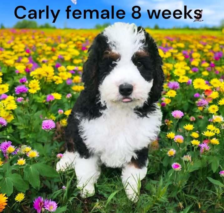 Photo of Carly