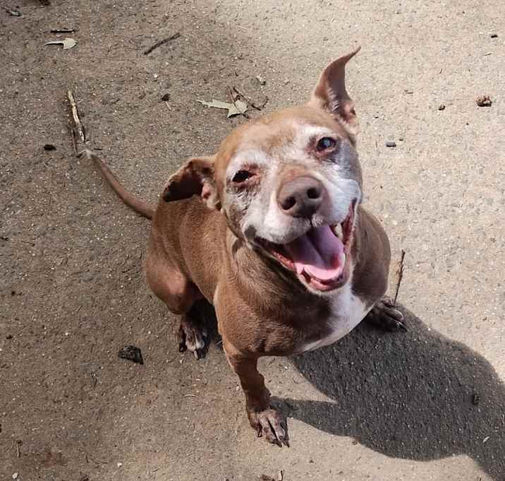 Photo of Rebel