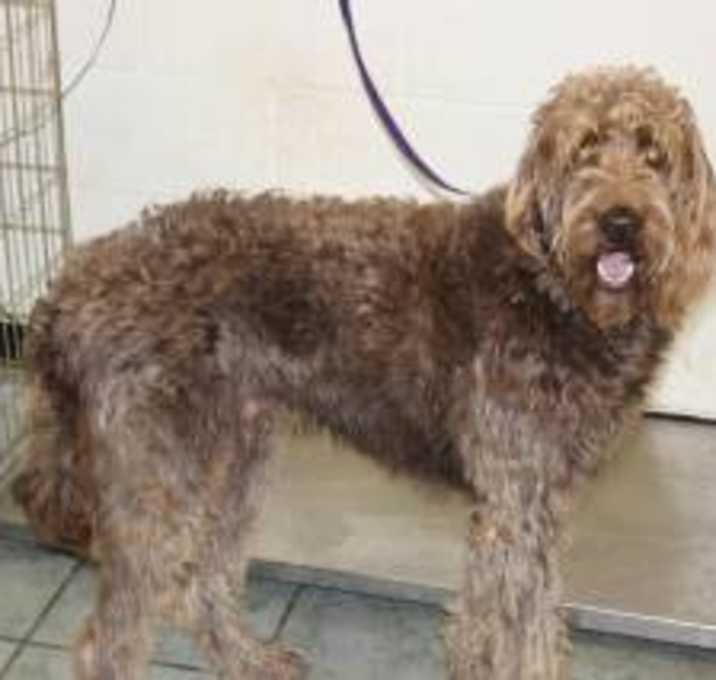 Photo of Frodo