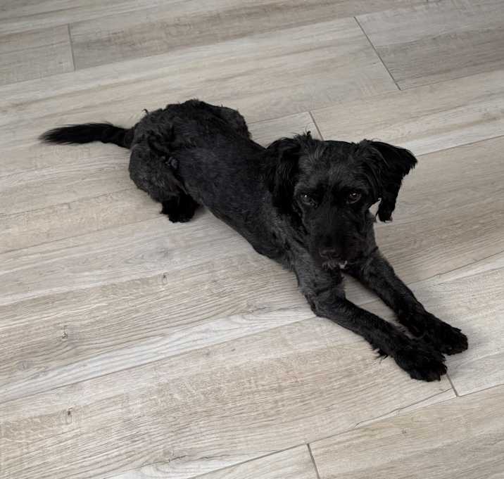 Photo of Max