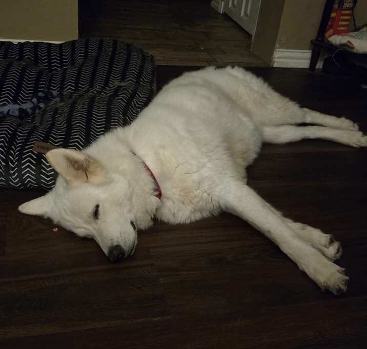 Photo of Ghost