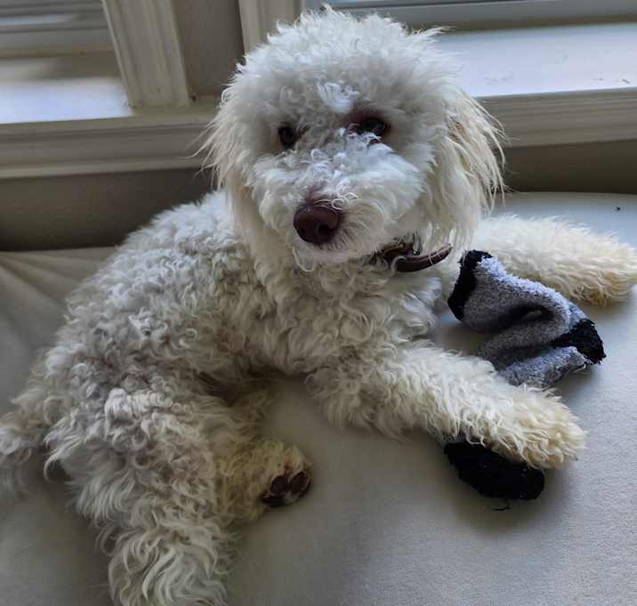 Photo of Kai