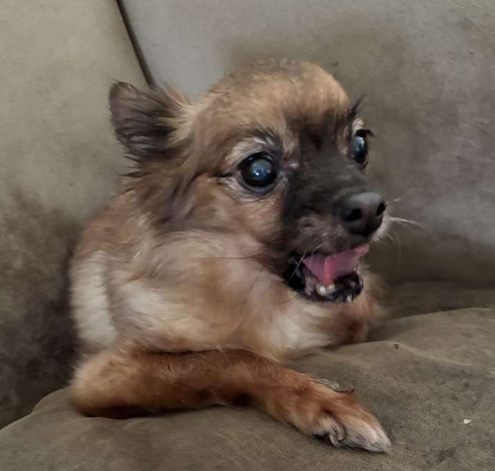 Photo of Pretty G