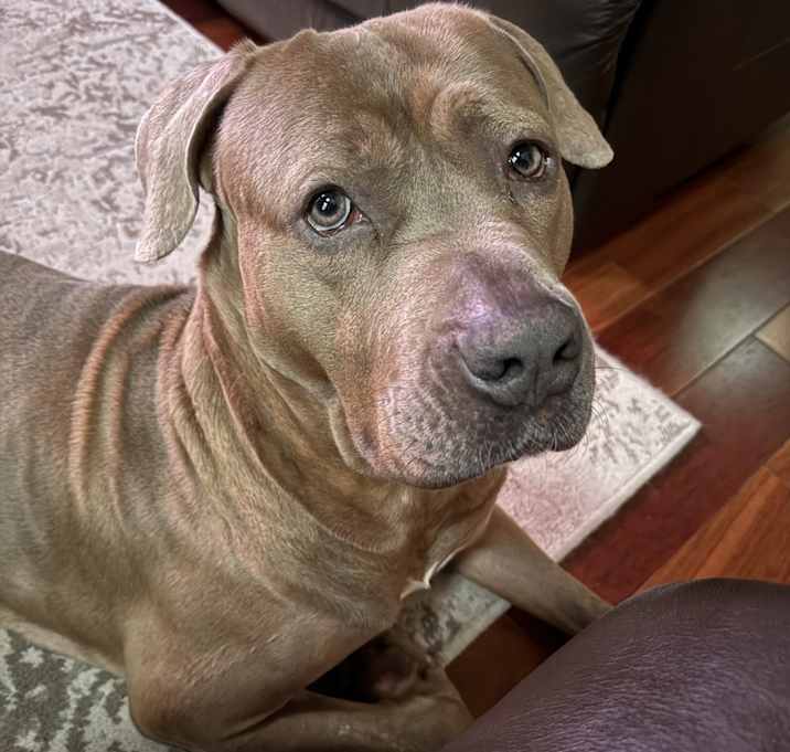 Photo of Kratos