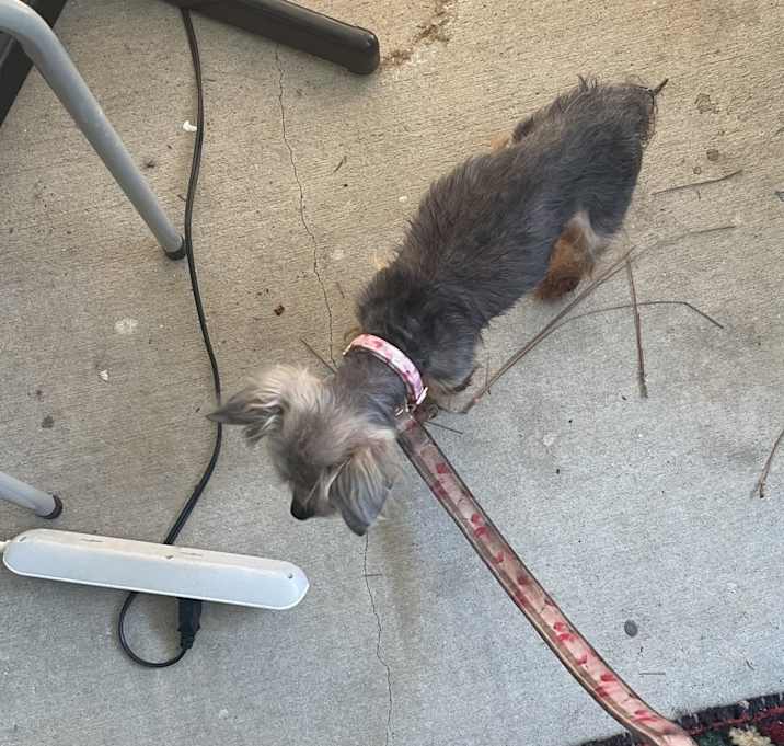 Photo of Angel