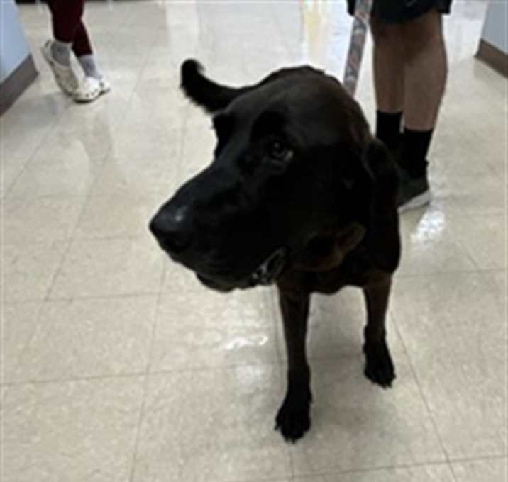 Photo of LUCY