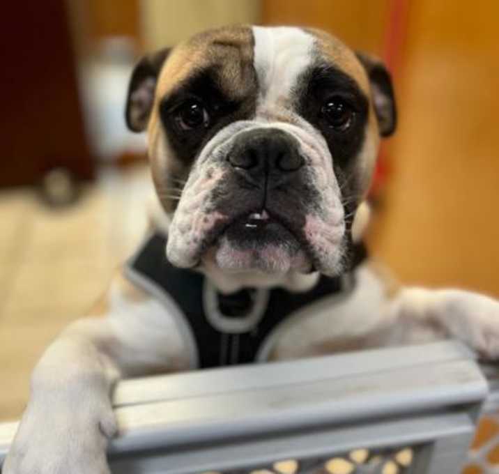 Photo of Chuck