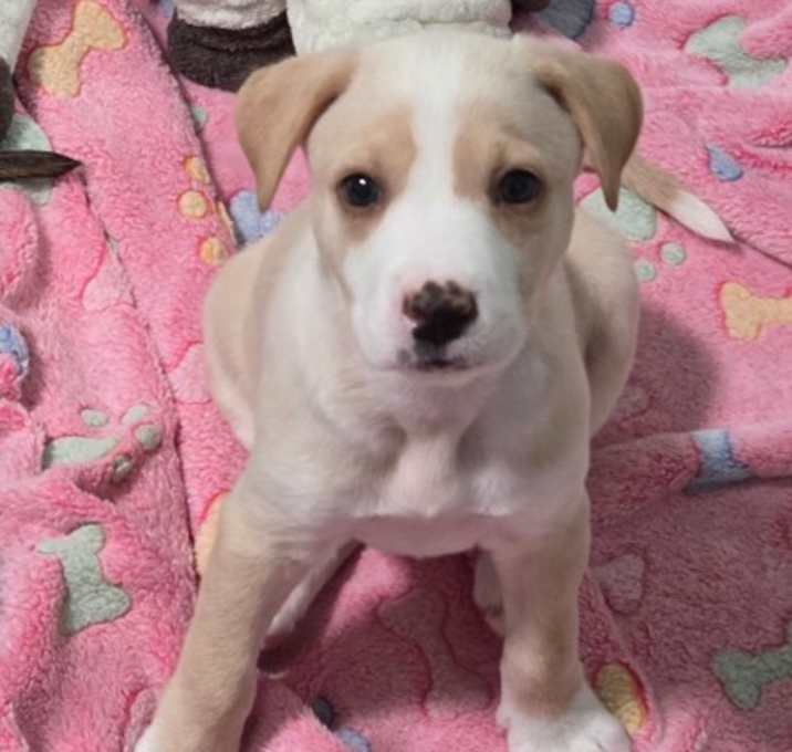 Photo of Annabelle