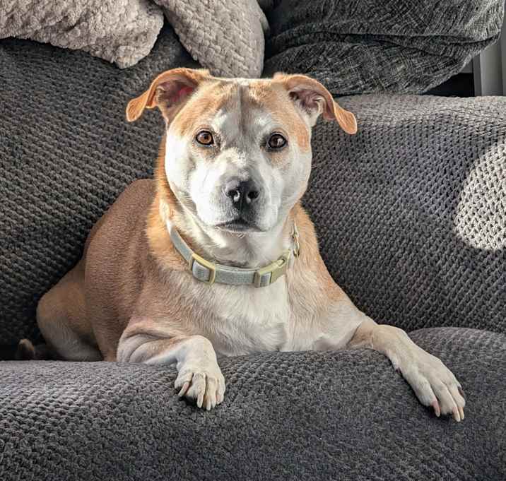 Photo of Maggie