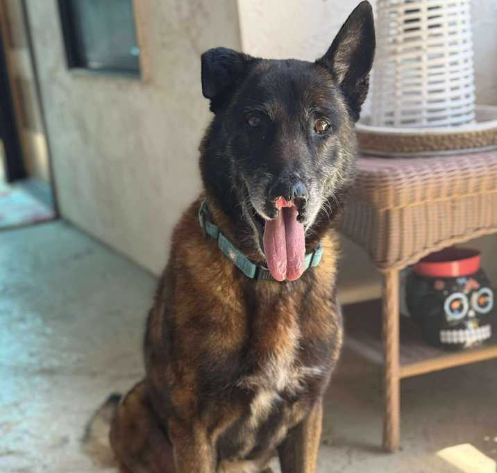 Photo of Odin
