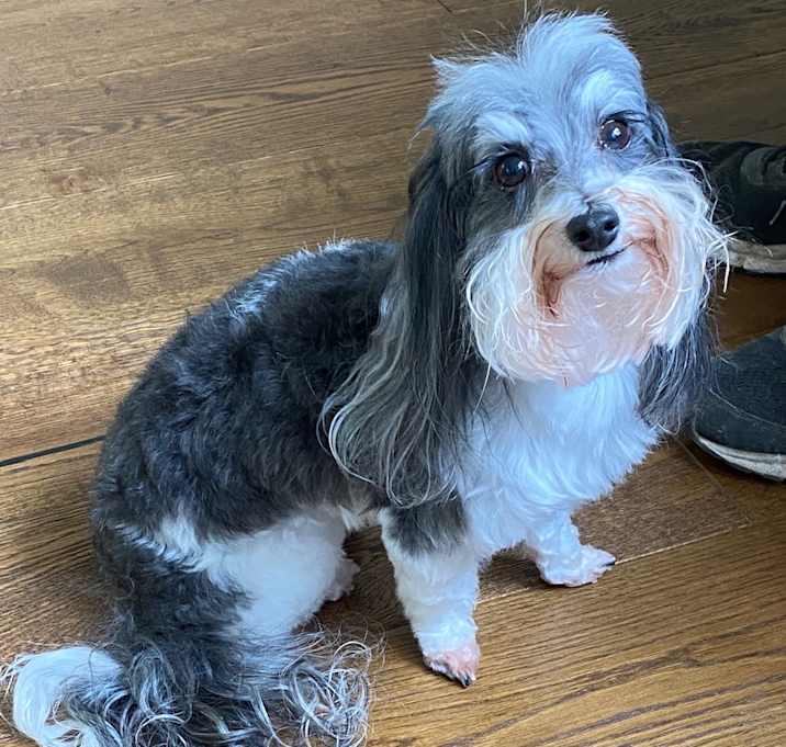 Photo of Remy