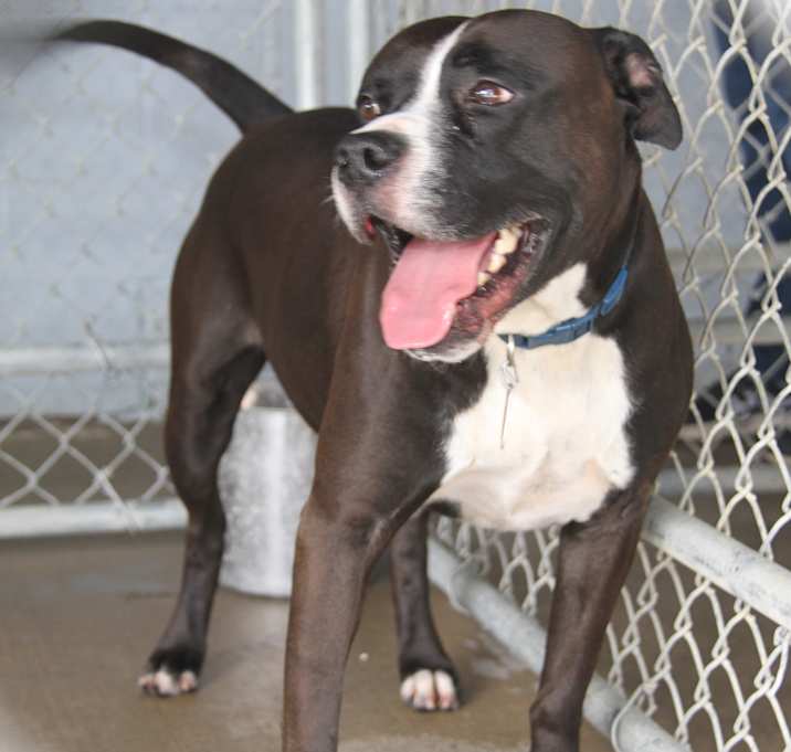 Photo of Duke