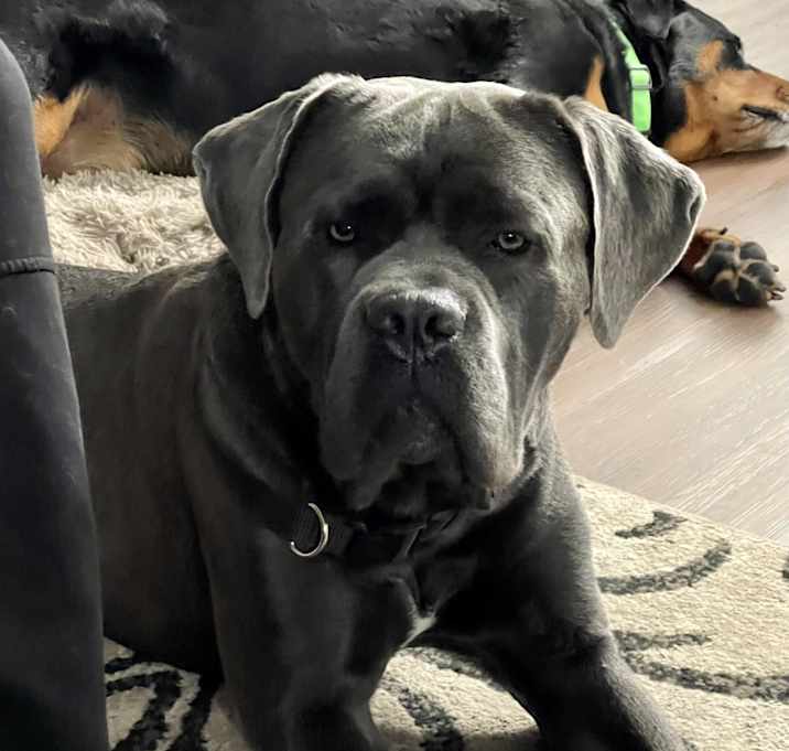 Photo of Biggie