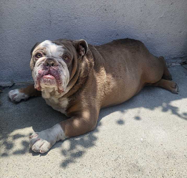 Photo of Bingo