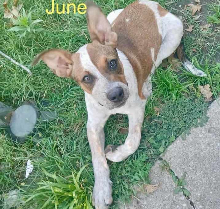 Photo of June