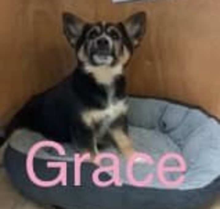 Photo of Grace
