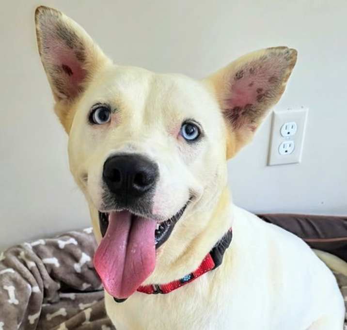 Photo of Whitnee GCH