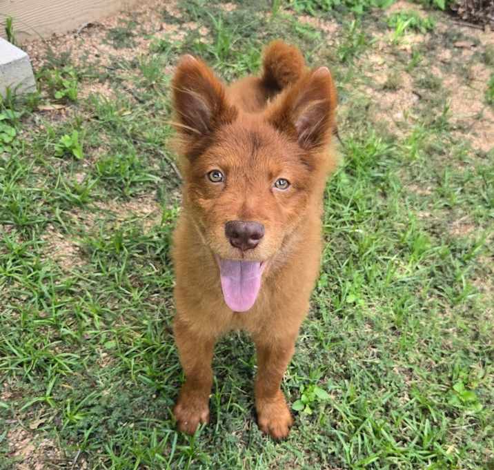 Photo of Todd