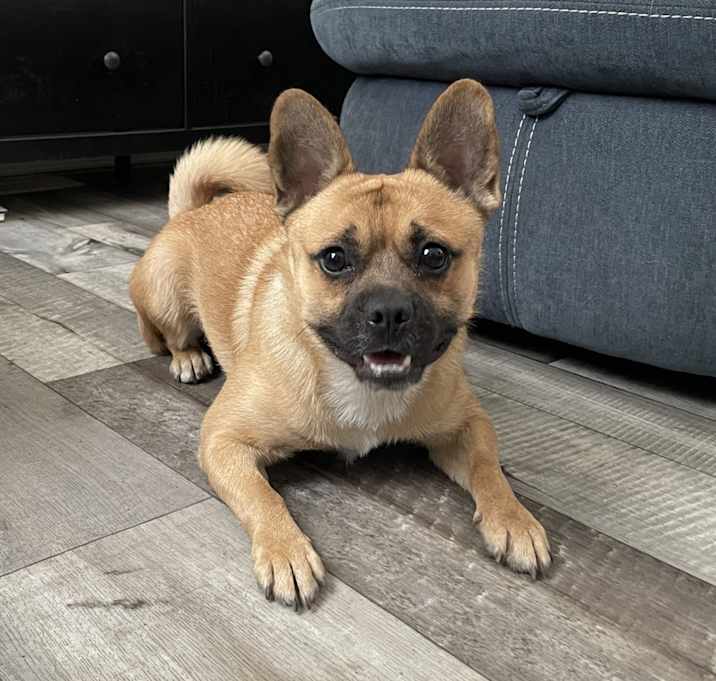 Photo of Coco Loco