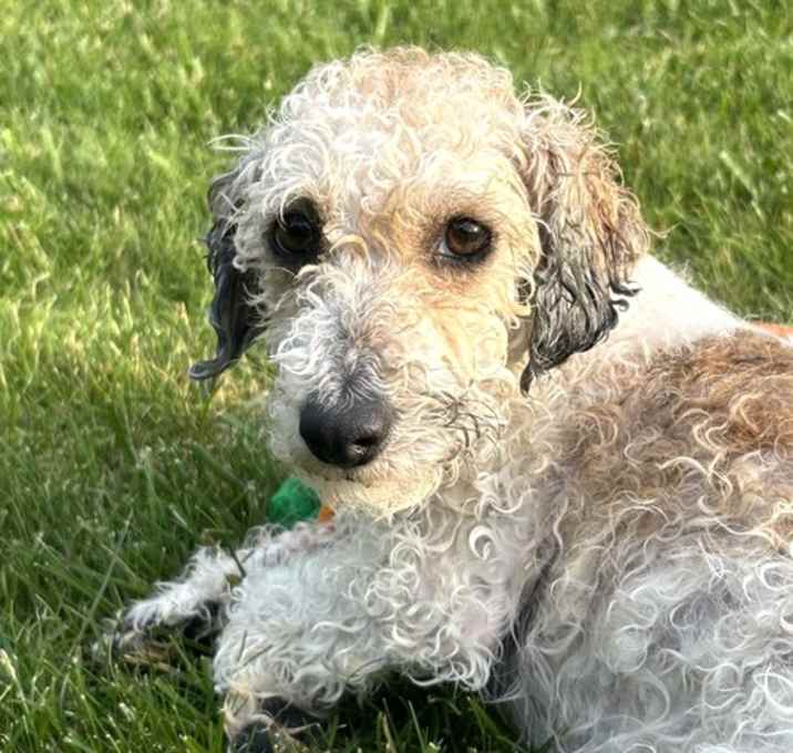 Photo of Parker