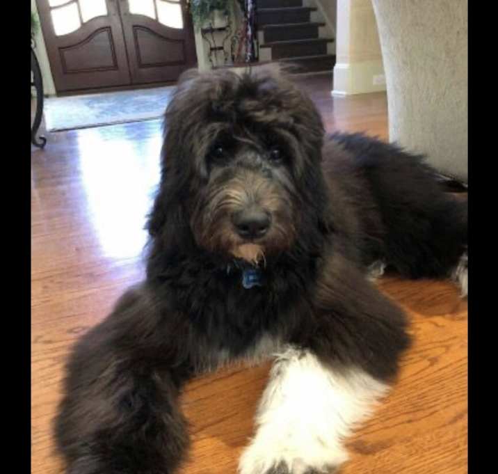 Photo of Mindy