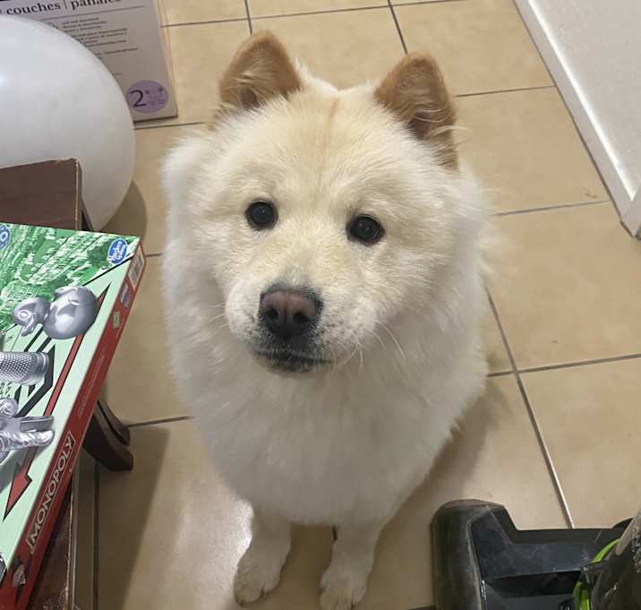 Photo of Molli