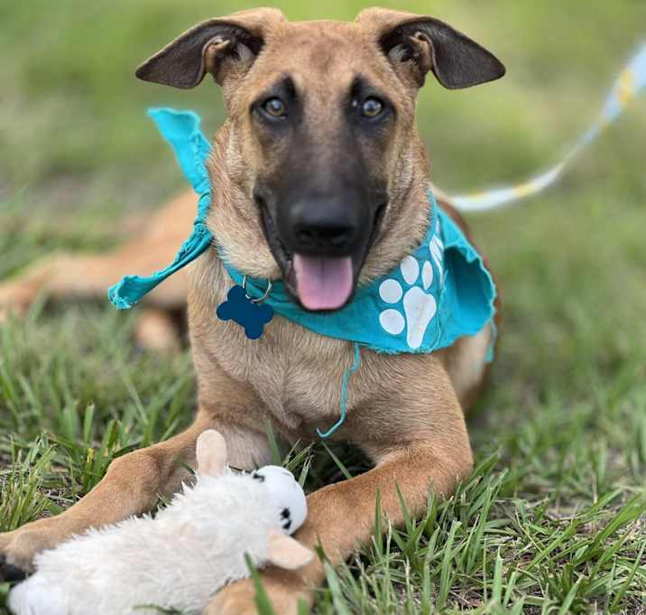 Photo of Thalia (Lolly)