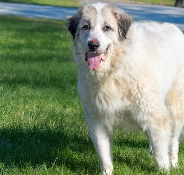 Photo of FINN