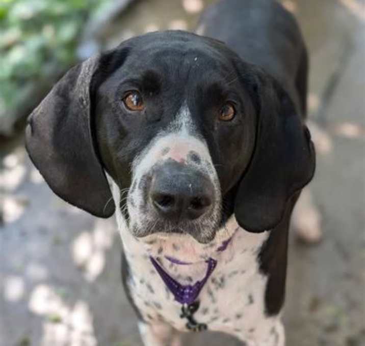 Photo of Buddy