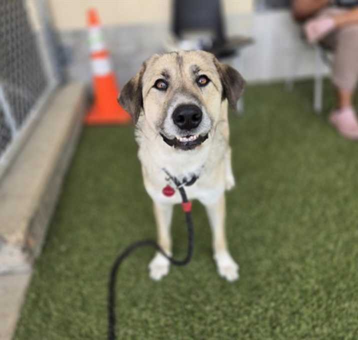 Photo of STORMIE