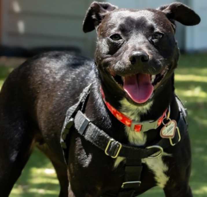 Photo of Leilani