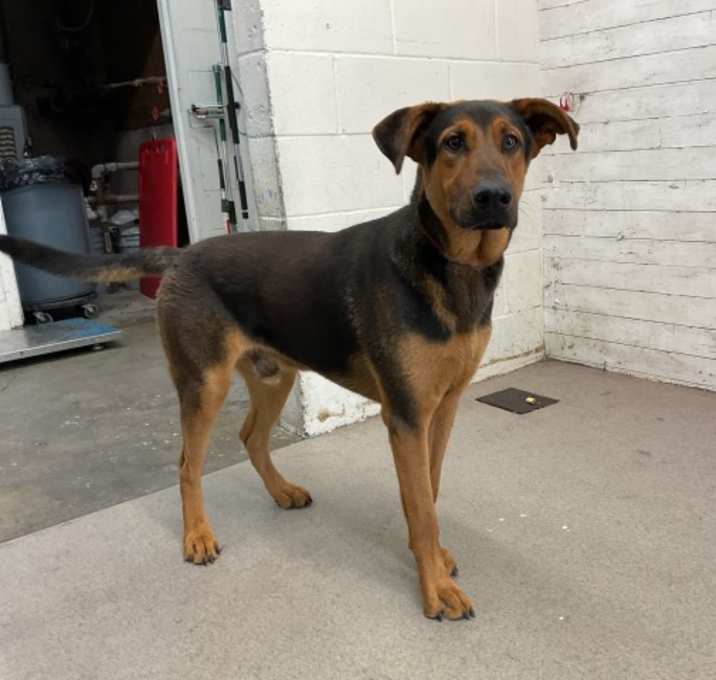 Photo of CHASE