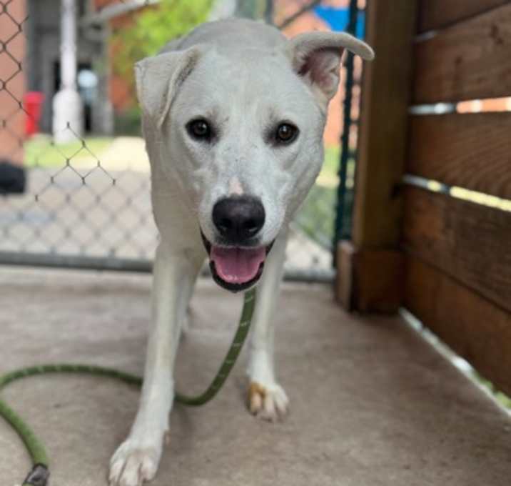 Photo of Luna