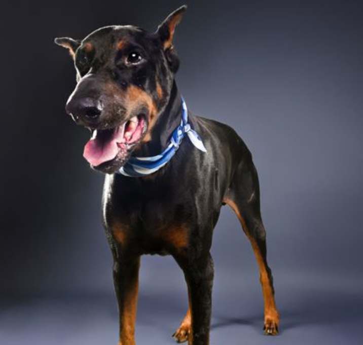 Photo of Van