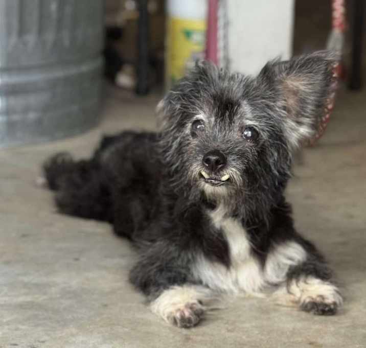 Photo of JuneBug