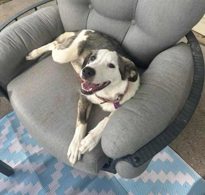 Photo of Lucy