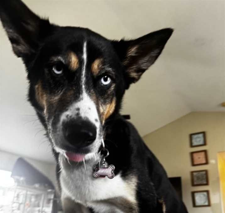 Photo of REMI