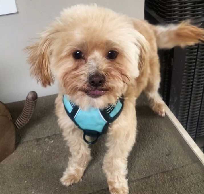 Photo of Frankie