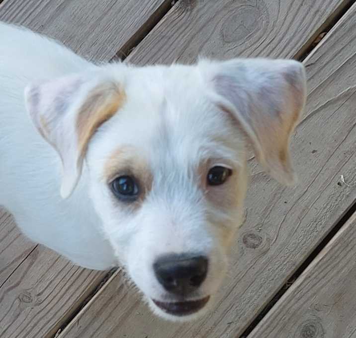Photo of Patty Patch